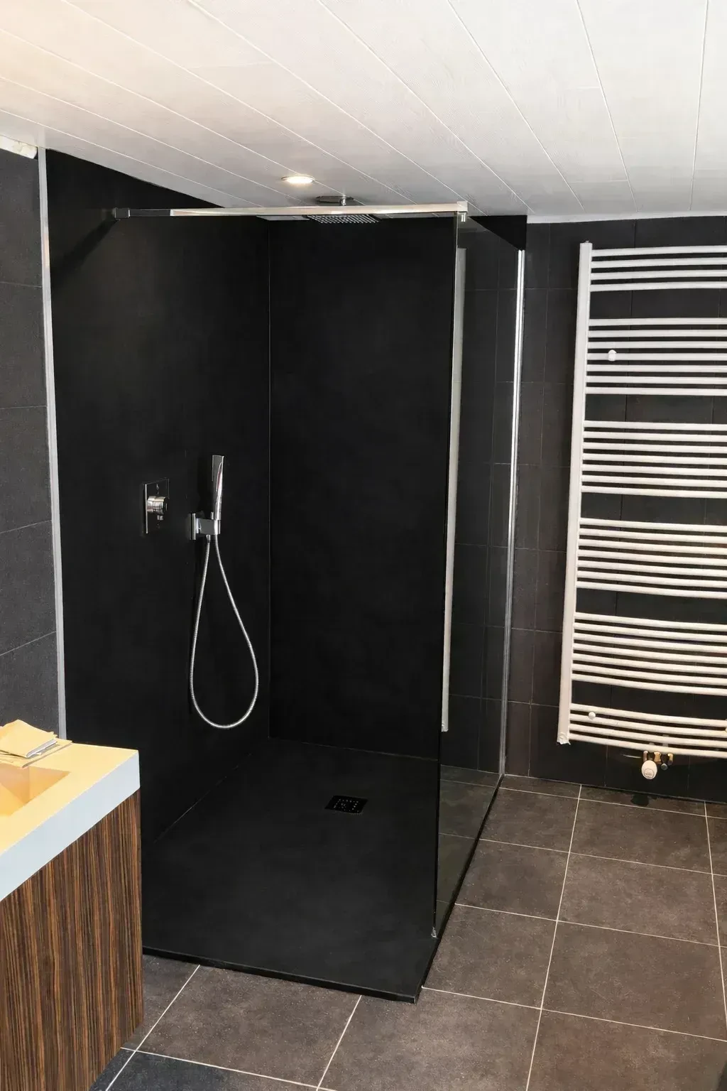 Renovatie douche in De Pinte, Sanitair, realisatie De Groote Innovations, foto 1